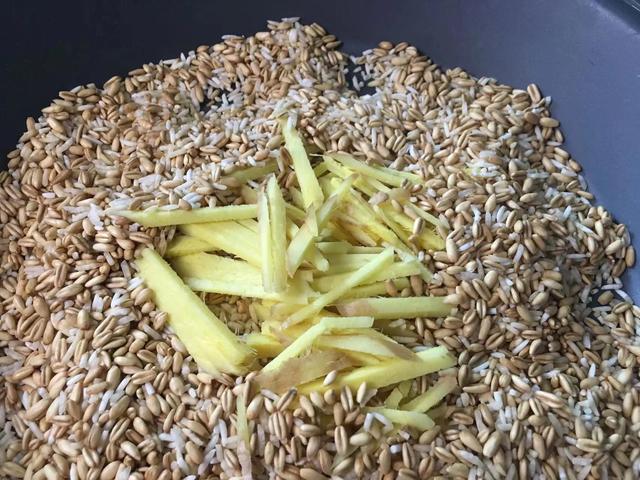 燕麦米和生姜炒一炒，没想到这么厉害，我家一年四季都在喝
