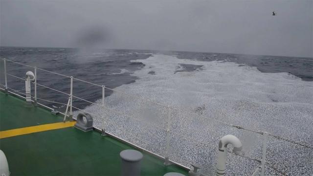 智力大地震（智利大地震在线）