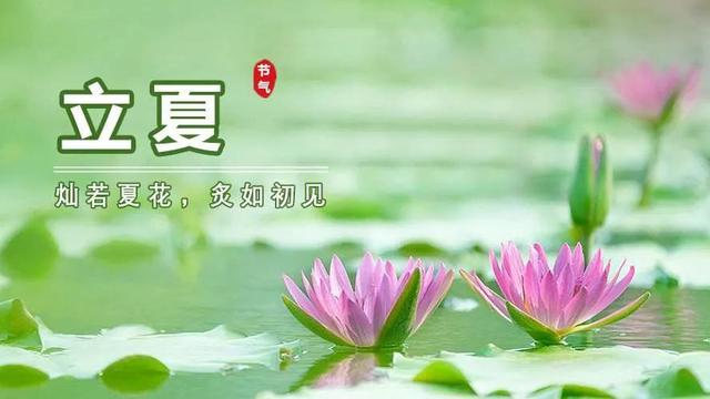 2022壬寅年立夏养生要旨