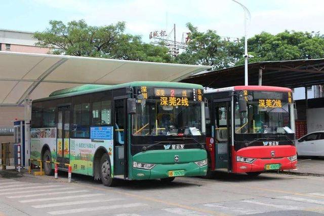 深圳刚解封，不少年轻人和农民工一样选择回家？啥情况