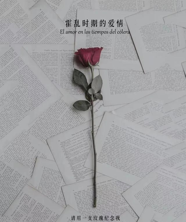 爱一个人能等多久？-《霍乱时期的爱情》
