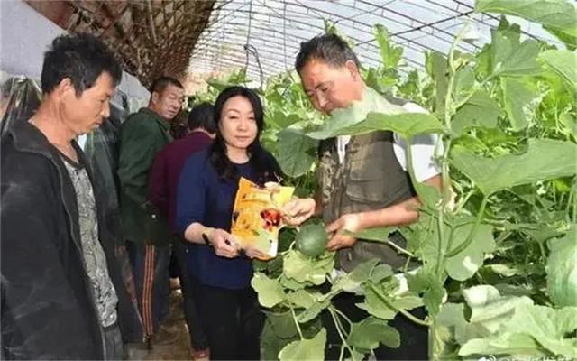 当前,普通人想创业,选择什么项目钱好赚、投资小、风险低?