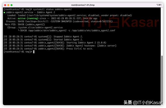 Zabbix 随笔：6.0 LTS 源码安装