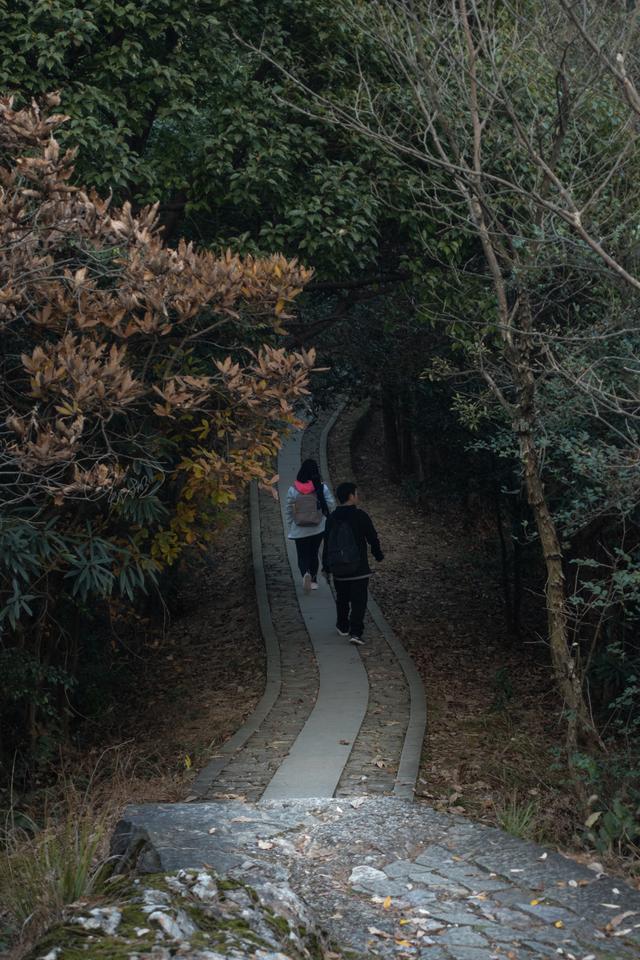杭州登山徒步路線17：野路有趣，但不建議盲目去爬