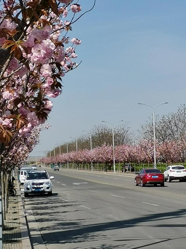 眼望八方尽美景，多是心情在起兴……全文