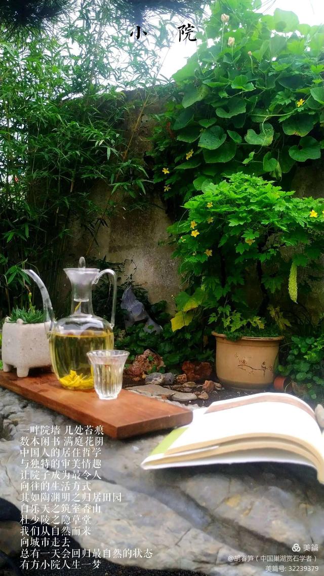 我的农家小院 （胡春笋）