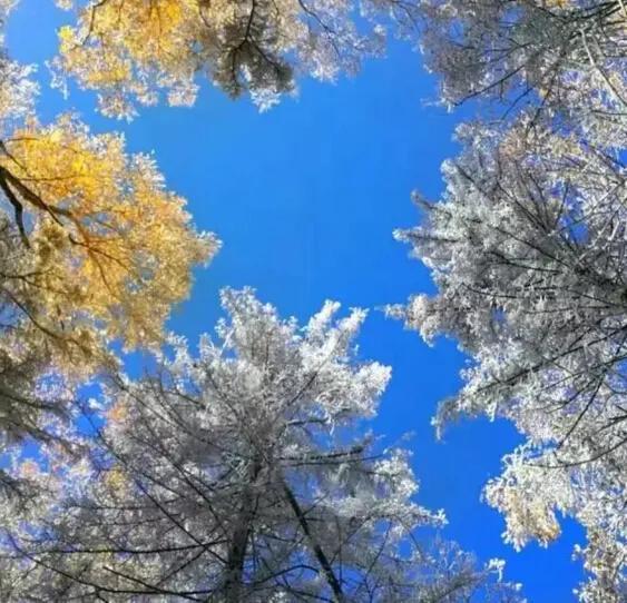 高冷的短句，碰不得的东西，最好别碰，惹不起我的人，最好别惹