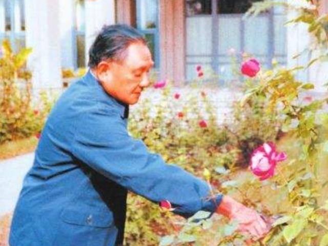 女儿问邓小平：这一辈子和谁关系最好？邓公：就他们仨