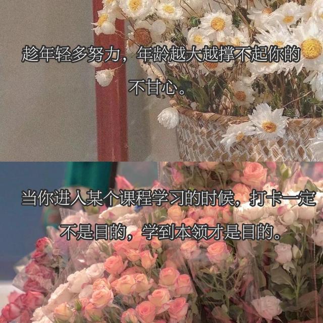 致未来❀16句人间清醒句子?