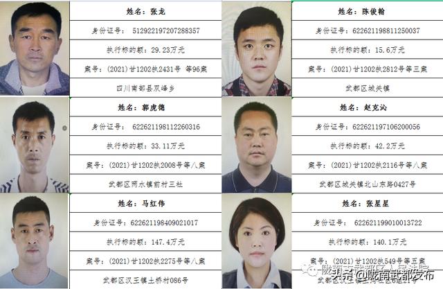曝光! 武都区法院公布2022年第一批失信被执行人名单（172人）