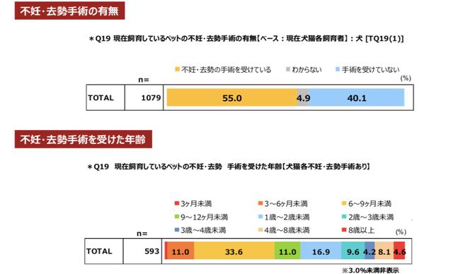 宠物狗市场