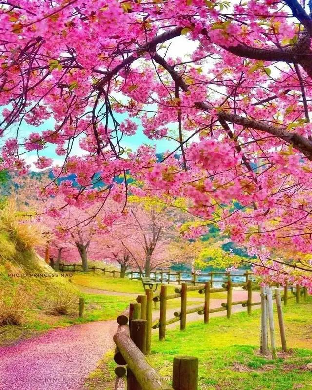 美丽的乡村