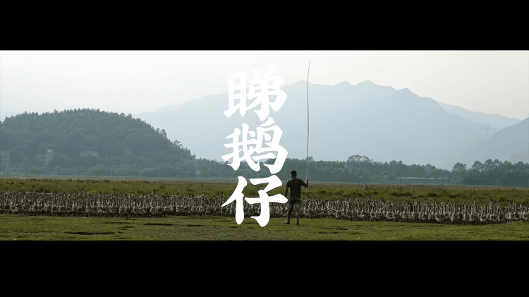 1974年3月4日生辰八字算命