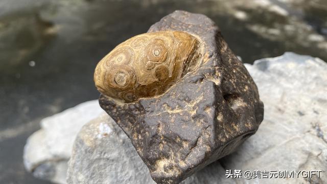 世界上最贵的三种宝石，九眼石页岩“镱玺”，来自地球之外的火星