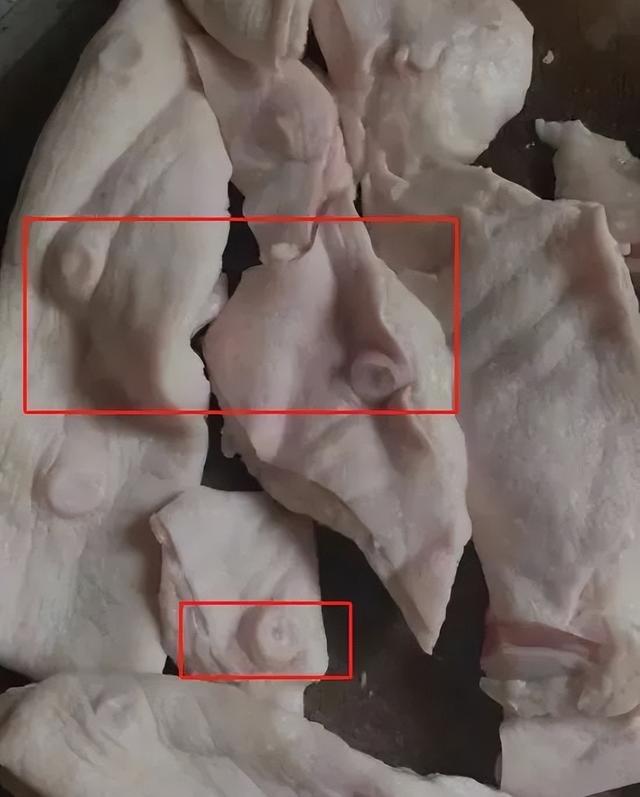 靠疫情发财的人越来越猖狂，劝“你”好好做个人吧