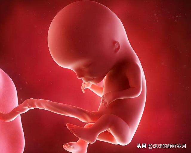 小宝贝初来乍到这个世界，所经历的艰难磨炼，妈妈要懂得哦