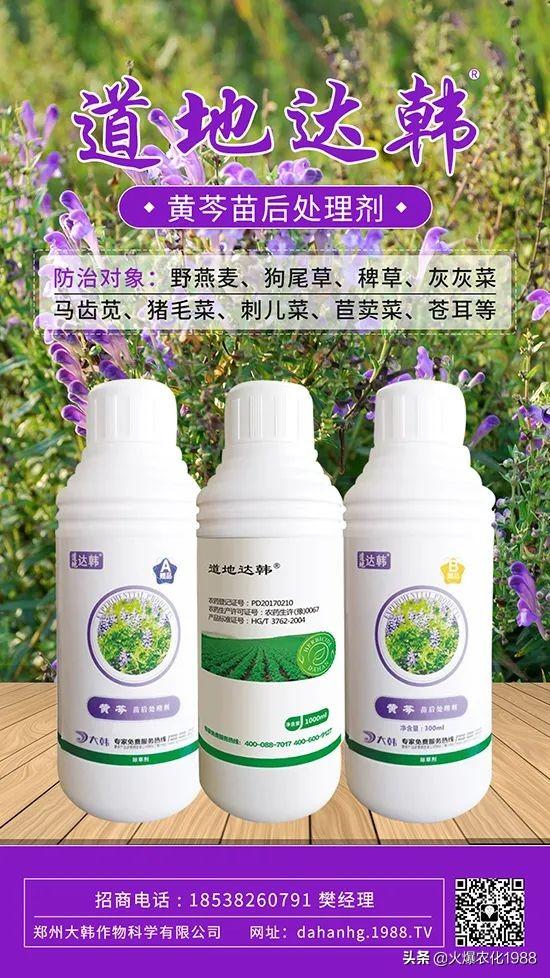 中药材除草无药可用？别着急，安全高效的中药材专用除草剂来了3