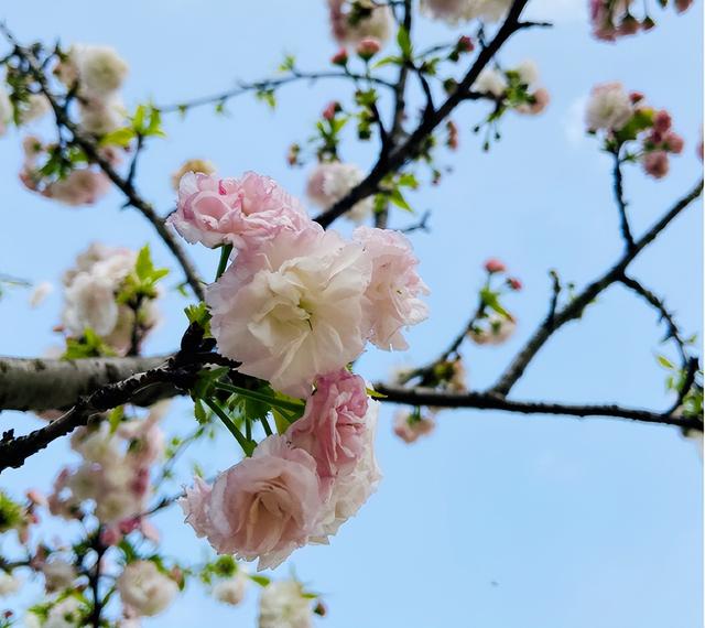 励志人生：只要功夫深，铁杵磨成针