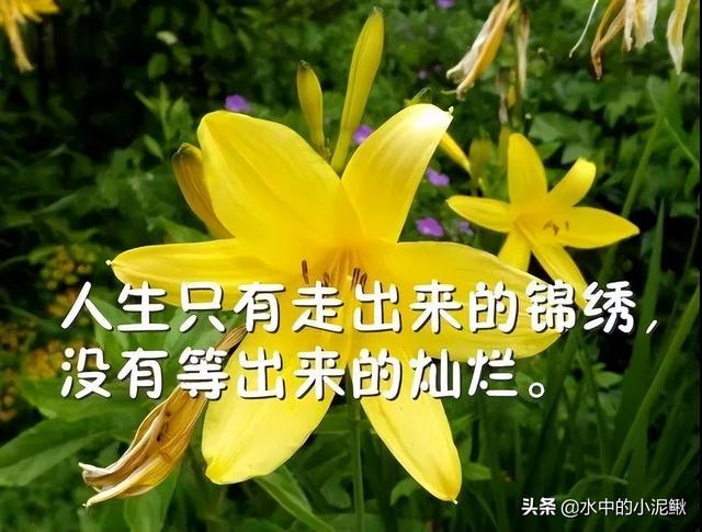 早安心灵鸡汤句句经典正能量，最棒的微信早安语录句子