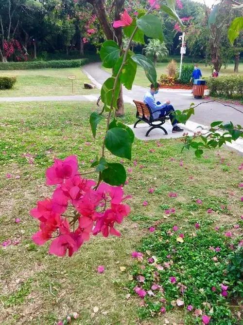 休闲时，——在诗行中行走