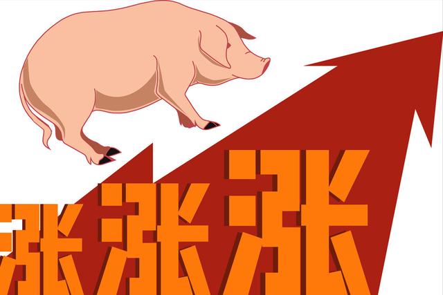 猪价“插翅上扬”，散户挺价猪企出栏，谁给谁做嫁衣？5月1日猪价