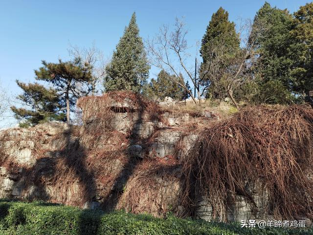 一隅山水鬧市藏 精巧布景多風光——北京東單公園冬日時光