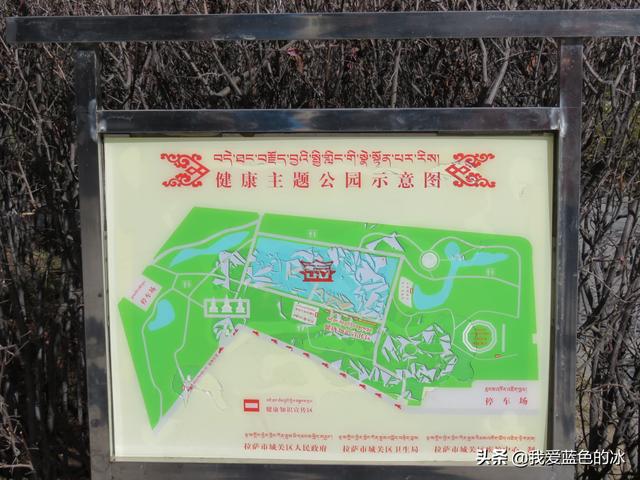 在布達拉宮後面的宗角祿康公園看水鳥能讓您忘記所有的煩惱