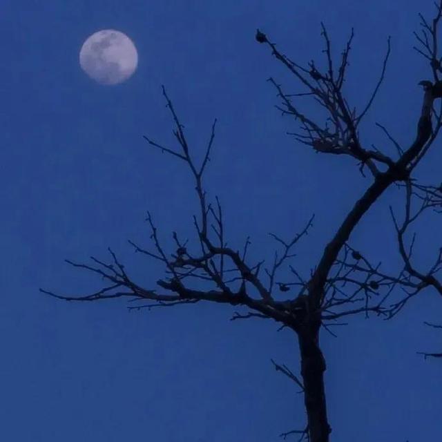 《白洋淀纪事》中那些有深度的句子，可以写进作文里的加分句