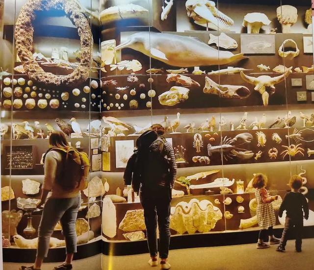 关于博物馆的三个愿望