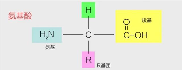 我们都是外星后代？70亿岁陨石发现DNA成分！地球生命或来自太空
