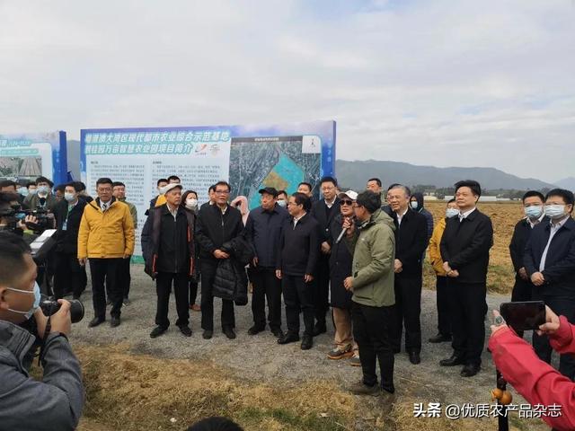 碧桂园又有大动作！自主研发无人拖拉机收获机亮相演示，无人化农场概念落地成真