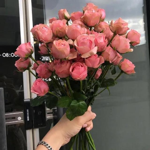 发朋友圈秒赞的文案，每一句都很独特