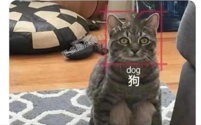 人工智能还是人工智障？