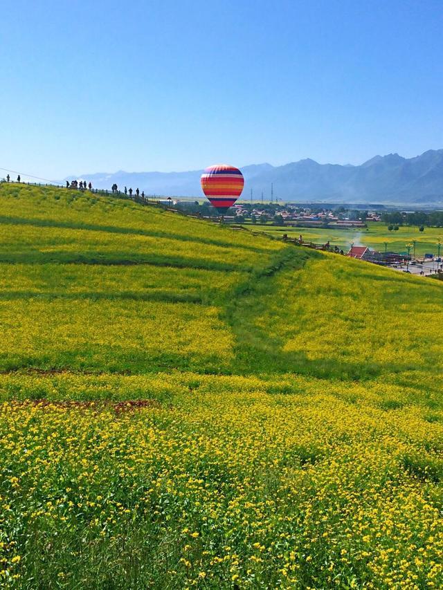 6月开什么花