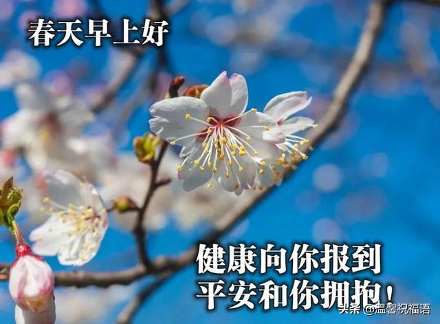 4月8日星期五清晨新版唯美早晨祝福图片 朋友圈新版早上好问候句子