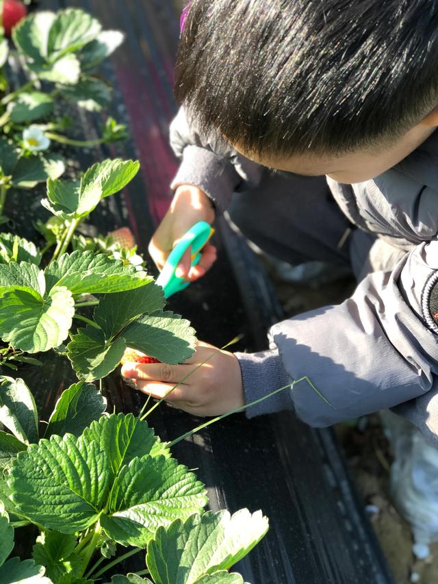 如何提高孩子的免疫力？