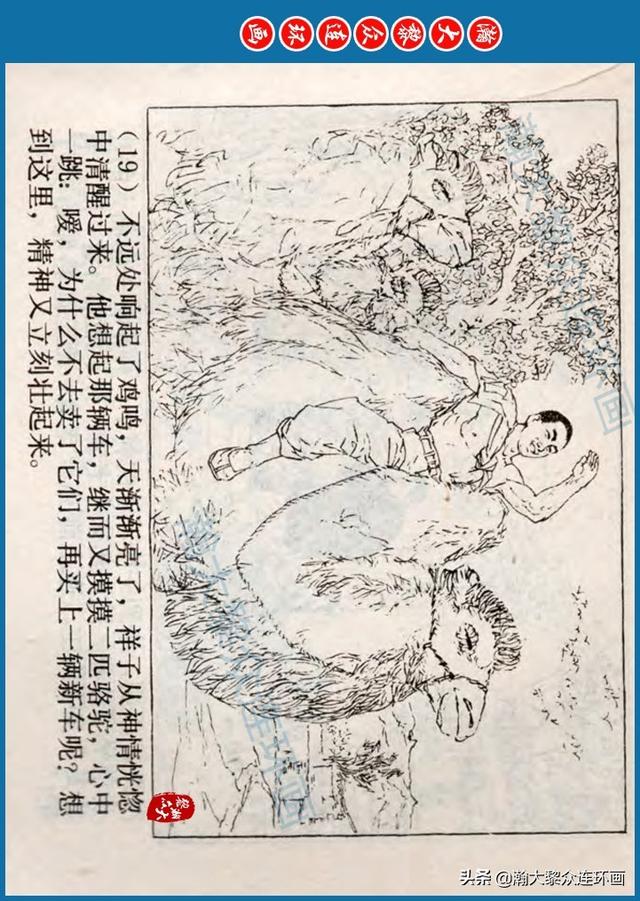 骆驼祥子插图简笔画 骆驼祥子插图简笔画
