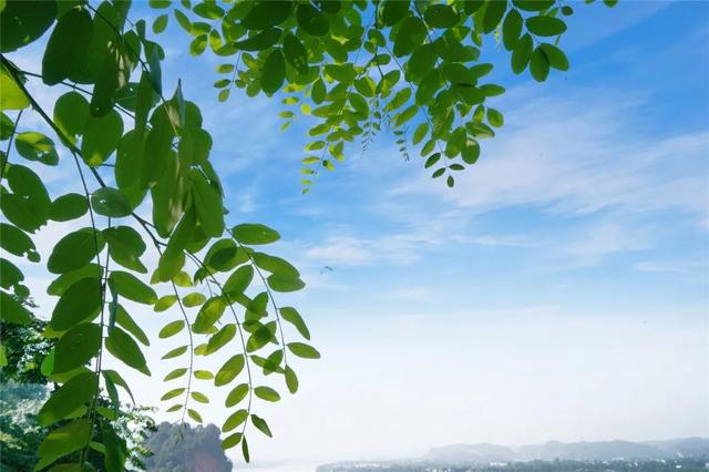 晴空万里 沐光而行