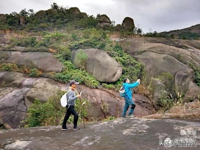 大羅山有處二師兄奇石，惟妙惟肖，你可找到過？