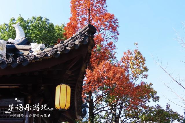 身爲5A景區卻堅持免費，秋色斑斓到處如畫，甯波這個景點讓人驚豔