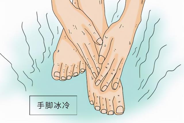 冬天手脚冰冷？当归四逆汤，养血通脉散寒，让您手温脚暖