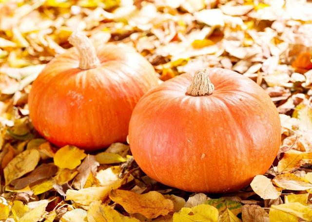 看似养生，其实不是养生？这6个饮食小贴士，正在偷走人的健康