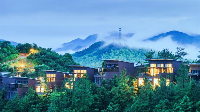 迟日江山丽，四月雅茶香