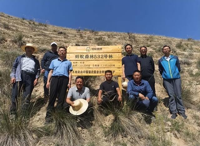 蚂蚁森林五年了，马云许诺每年种一亿棵树，这些树怎样了？