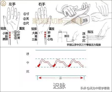 教你给自己把脉（带你入门）