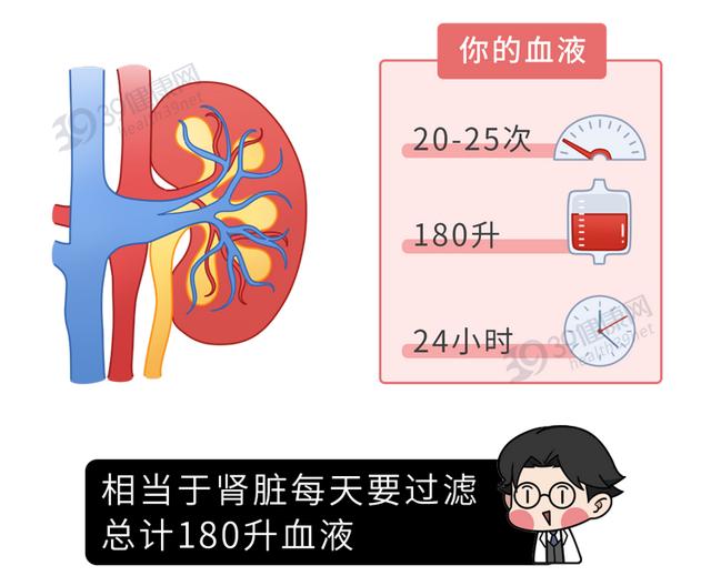 多功能过滤机加盟好不好