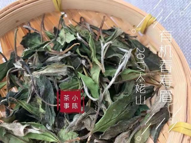 白茶晒一晒，防潮又提香？别傻了，再这么存白茶就废了