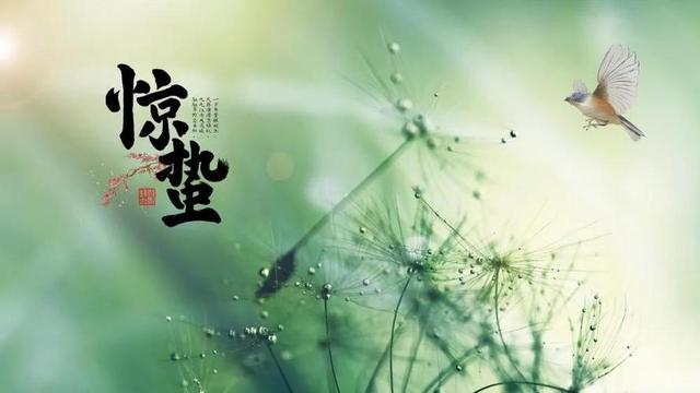 散文：惊蛰，春雷始鸣，淡美人生岁月