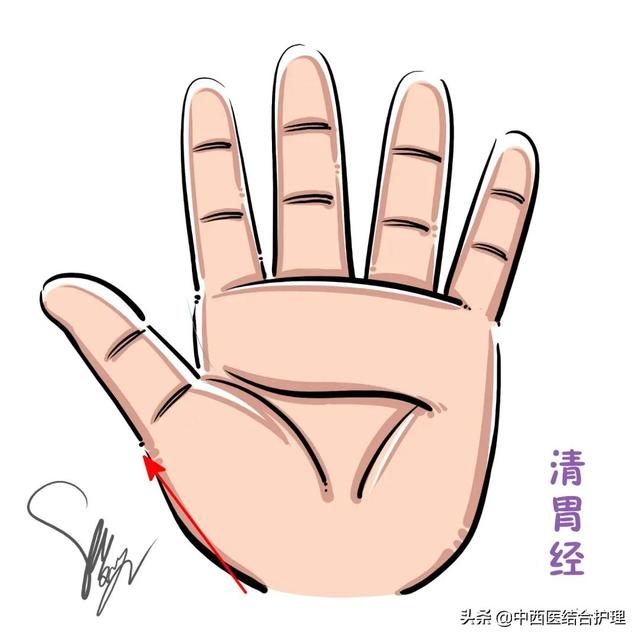 「穴位养生」改善消化系统功能的重要穴位