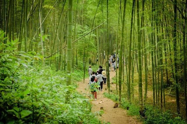花都適合團建的地方